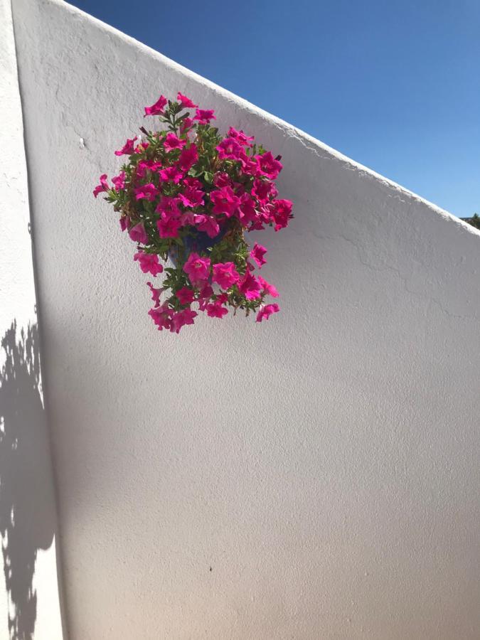 Bonita Casa Adosada 엠푸리아브라바 외부 사진